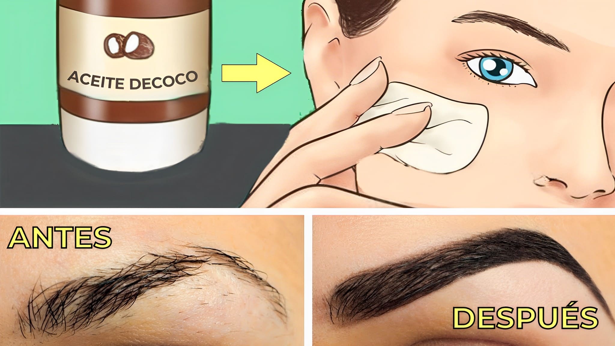 ¡Descubre el poder del aceite de coco para una piel radiante y cejas más pobladas en solo 3 semanas!