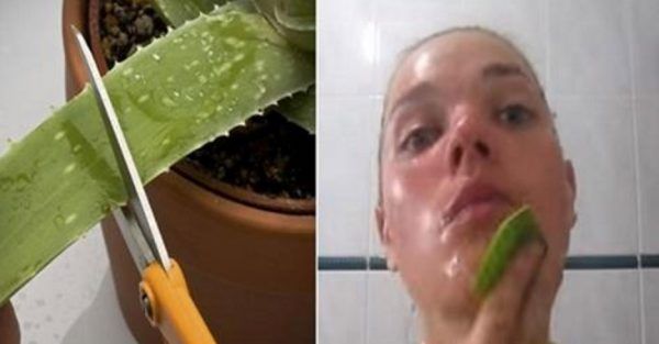 Remedio Natural con Aloe Vera Para La Cara – Piel Radiante y sin Arrugas!
