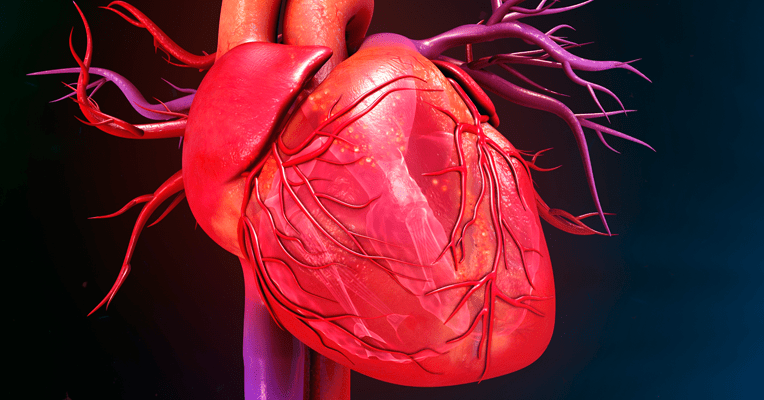Como cuidar las arterias y el corazón