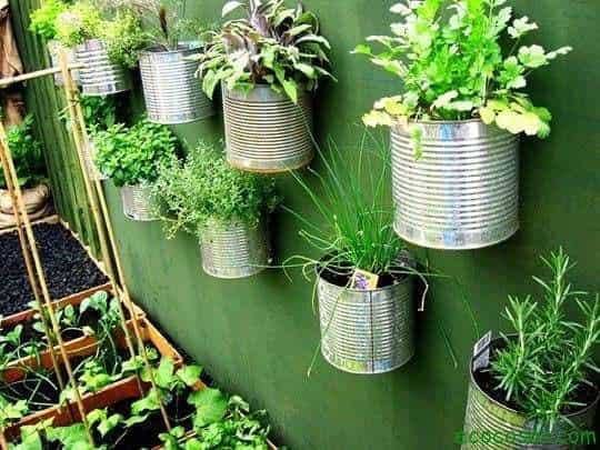 ¡Estas plantas provocarán una explosión de energía positiva en tu hogar, las plantas son seres vivos muy especiales!