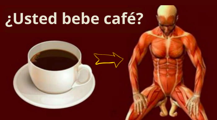 ¡Descubre lo que sucede en tu cuerpo cuando bebes café todos los días!